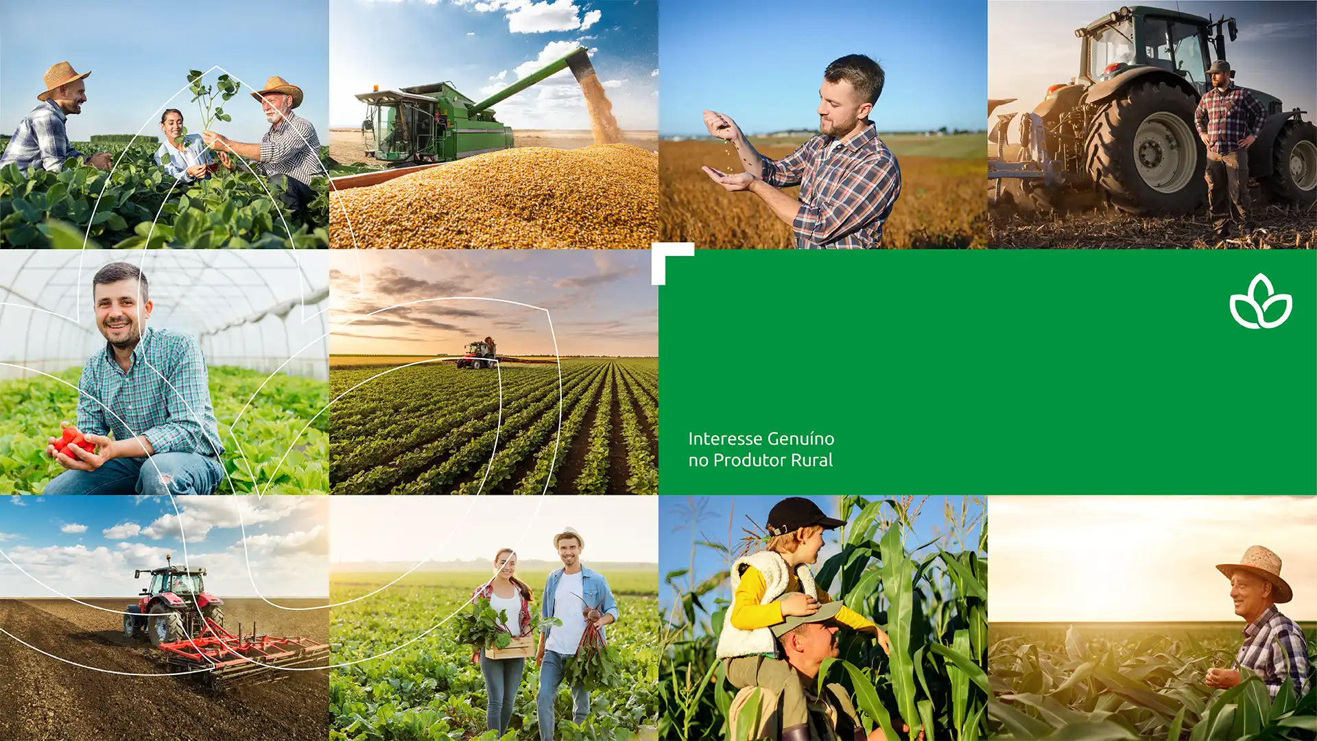 Rebranding no Agronegócio: Casa Bugre