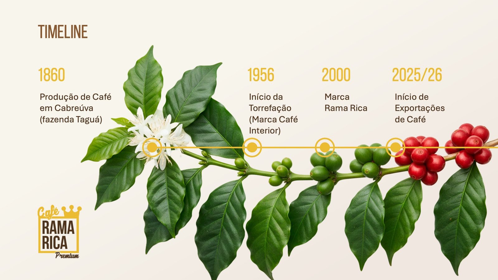 Ramo de Café Timeline Rama Rica