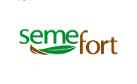 Semefort