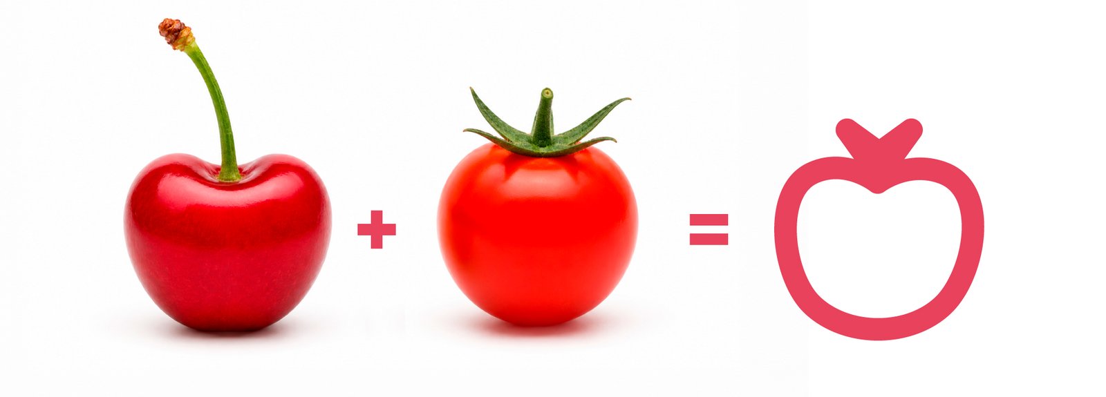 Criação de Conceito para o Logotipo Tomato Berry